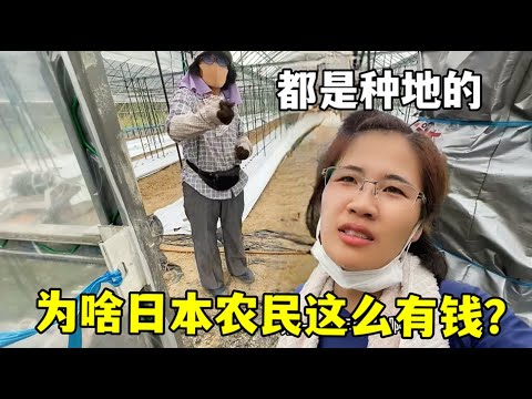 陈柏阳,刘毅马来西,亚羽毛球公,世界杯比分,2026世界杯,实时比分,足球赛事,比赛分析