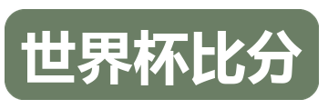 世界杯比分