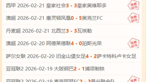 大乐透期号专家推荐质合分析：前区十码稳中求胜